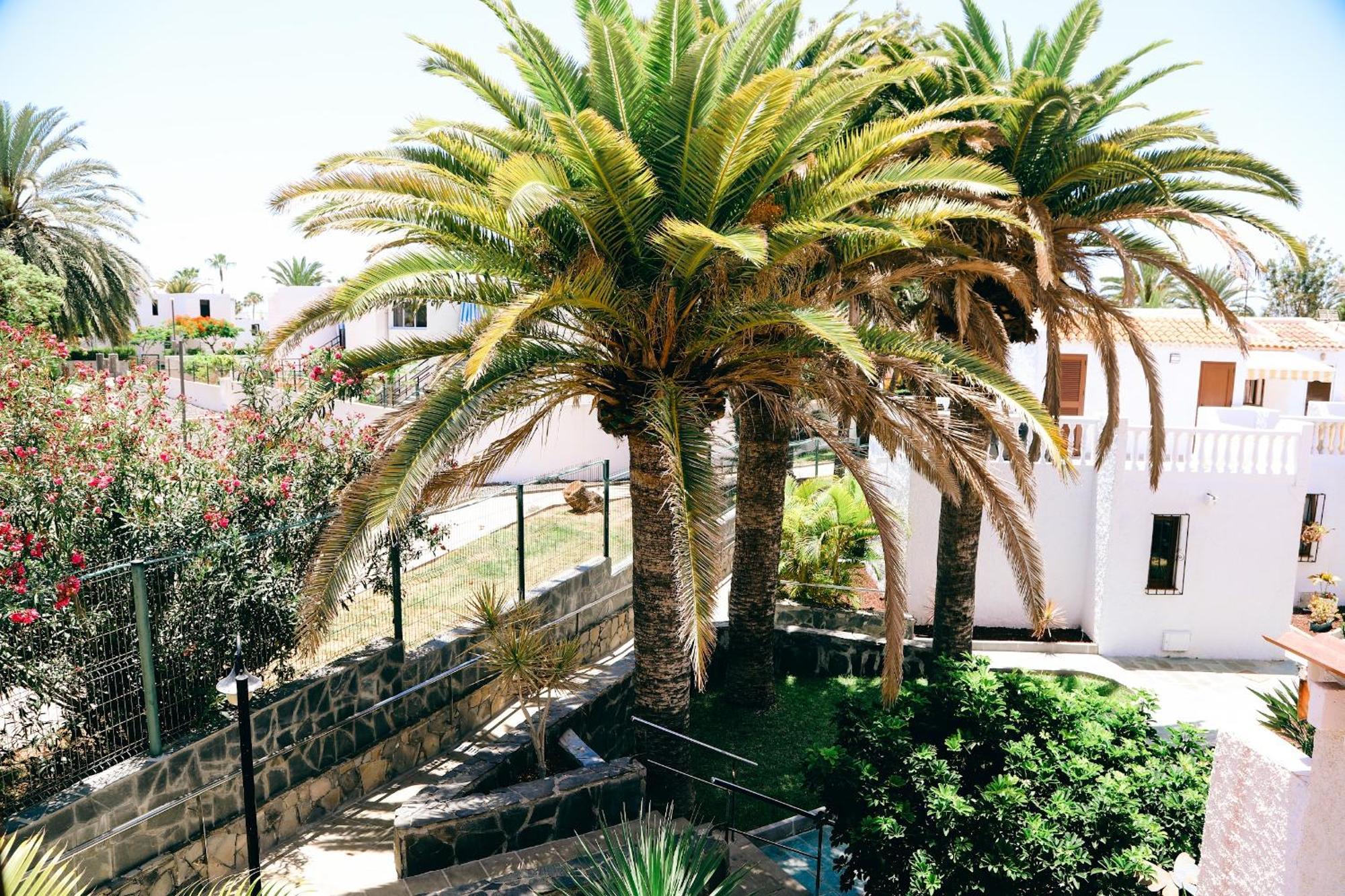 Apartament Virginia Playa de las Americas  Zewnętrze zdjęcie
