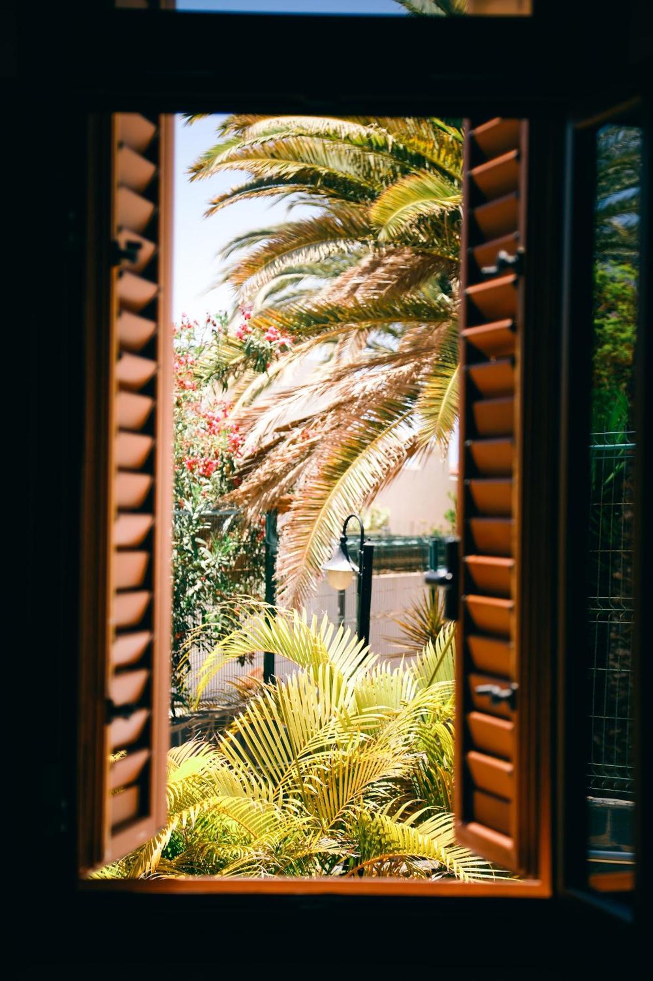 Apartament Virginia Playa de las Americas  Zewnętrze zdjęcie